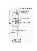 BP 1657 ignitor/flame rod, replaces Eclipse 16946-3, aftermarket replacement